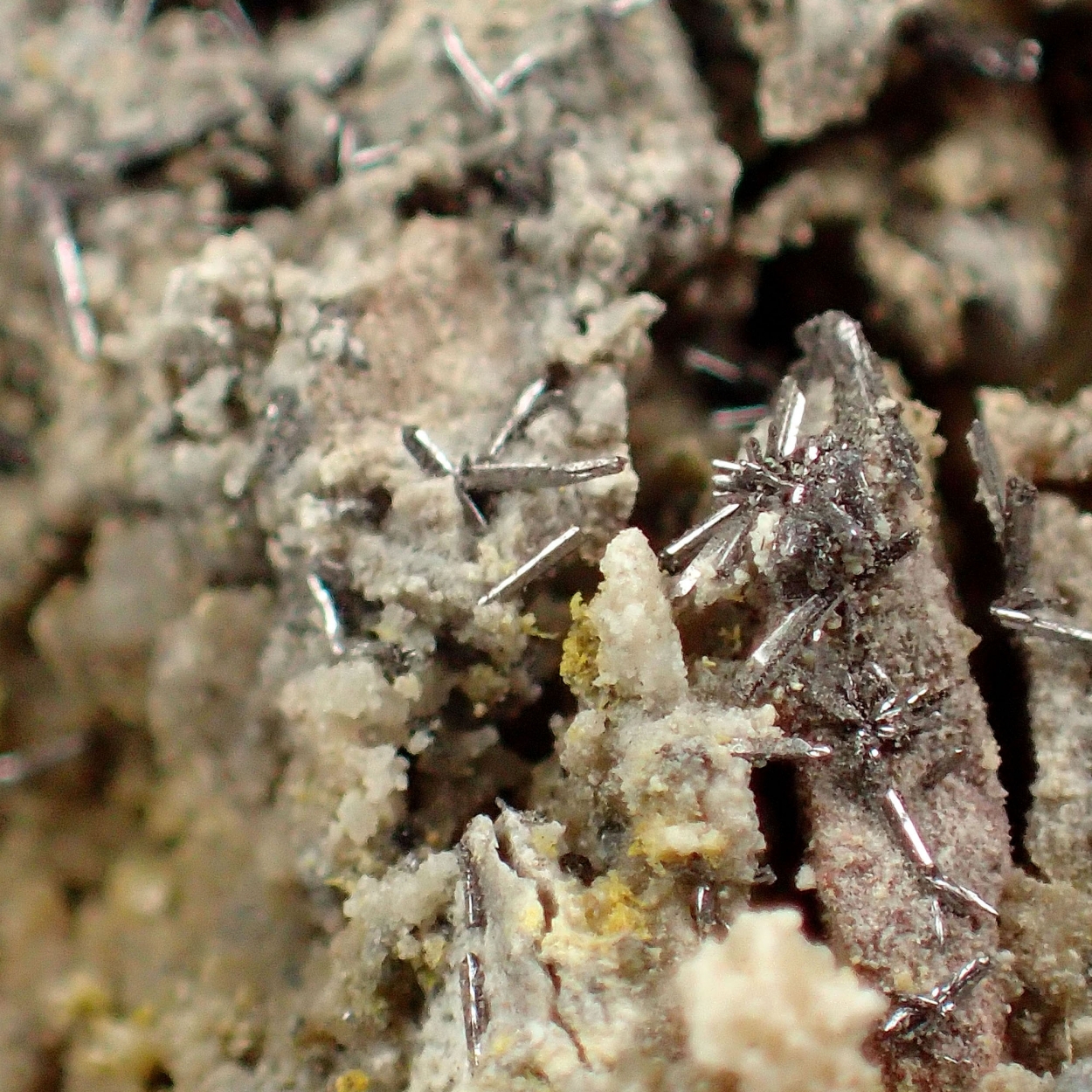 Selenium