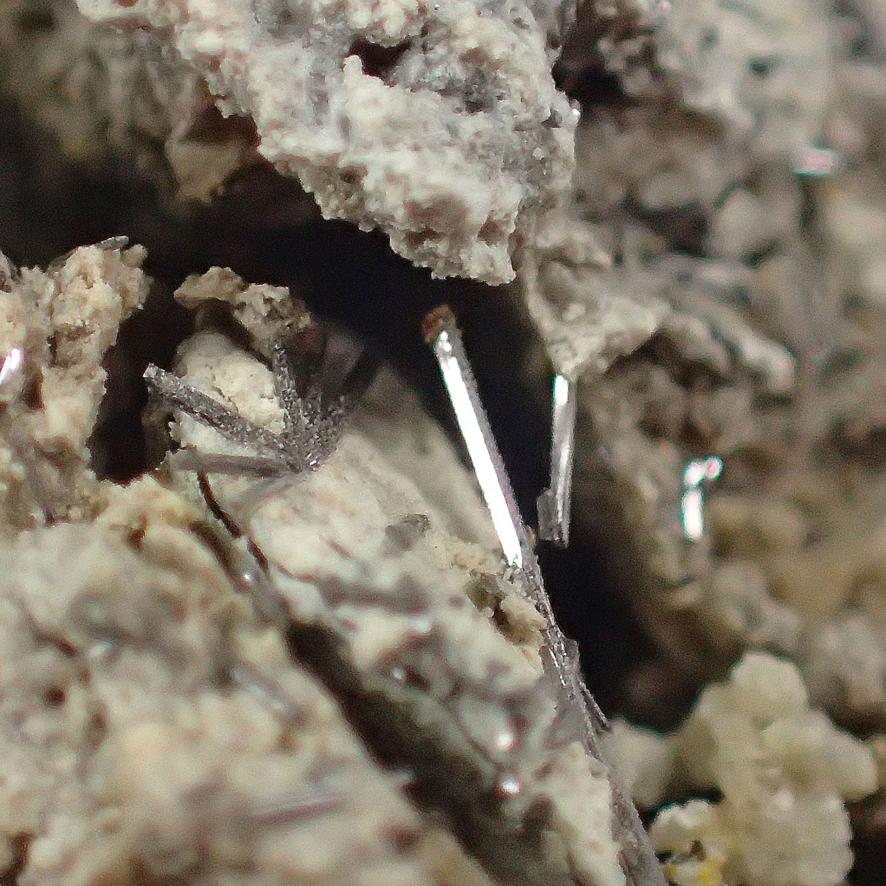 Selenium