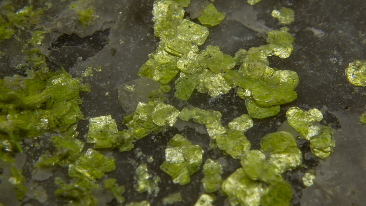 Autunite