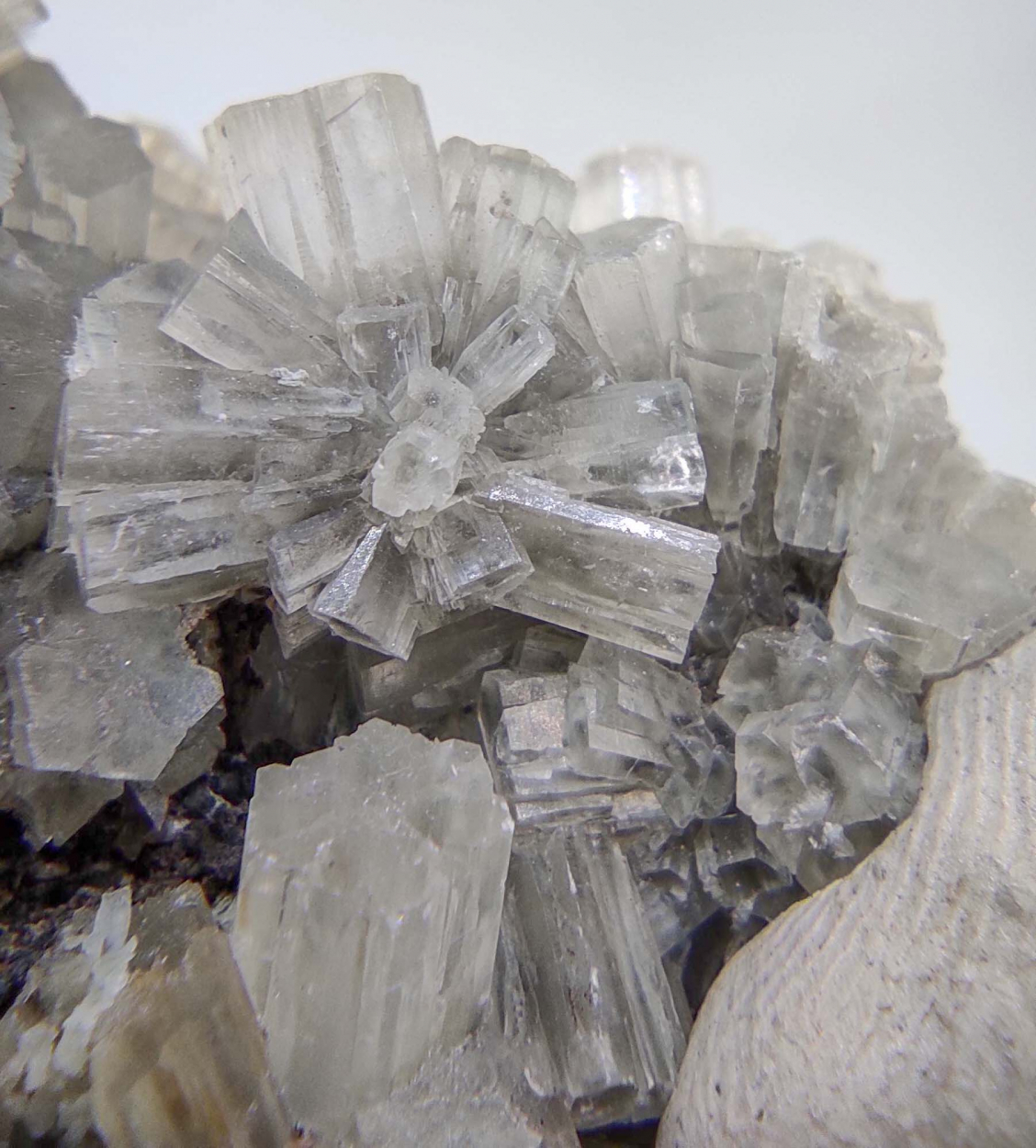 Aragonite