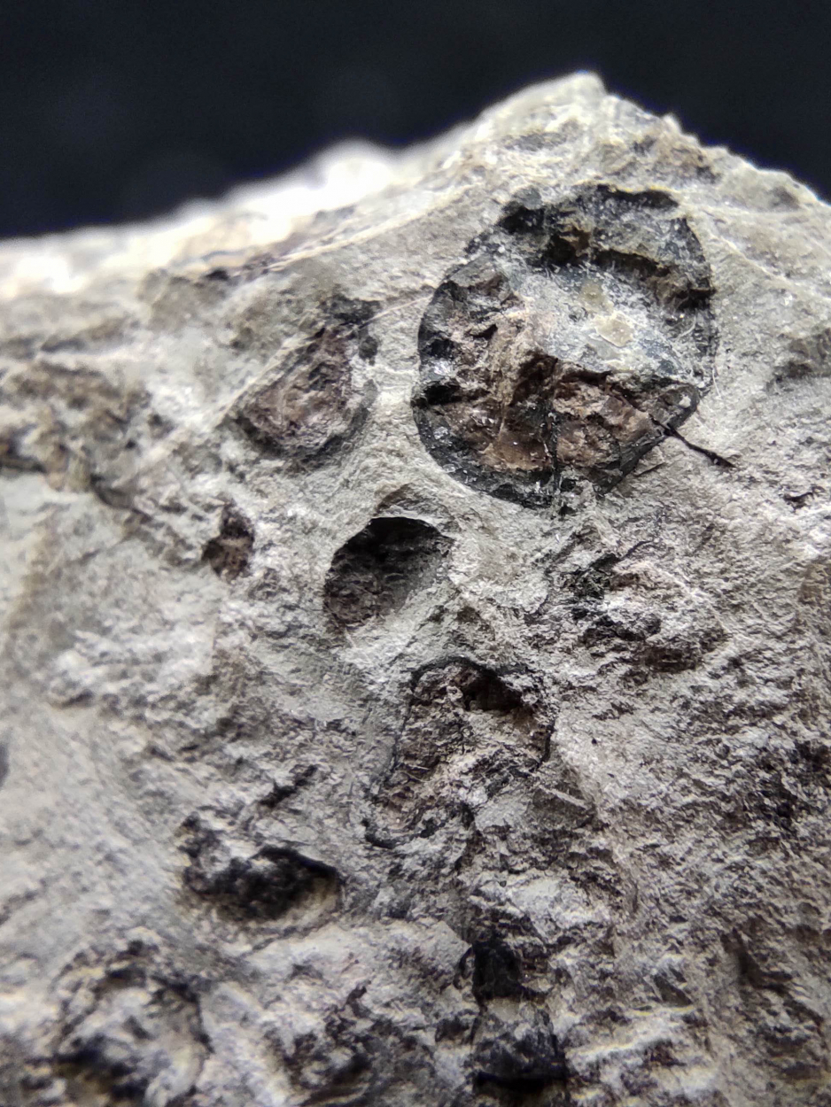 Bauxite