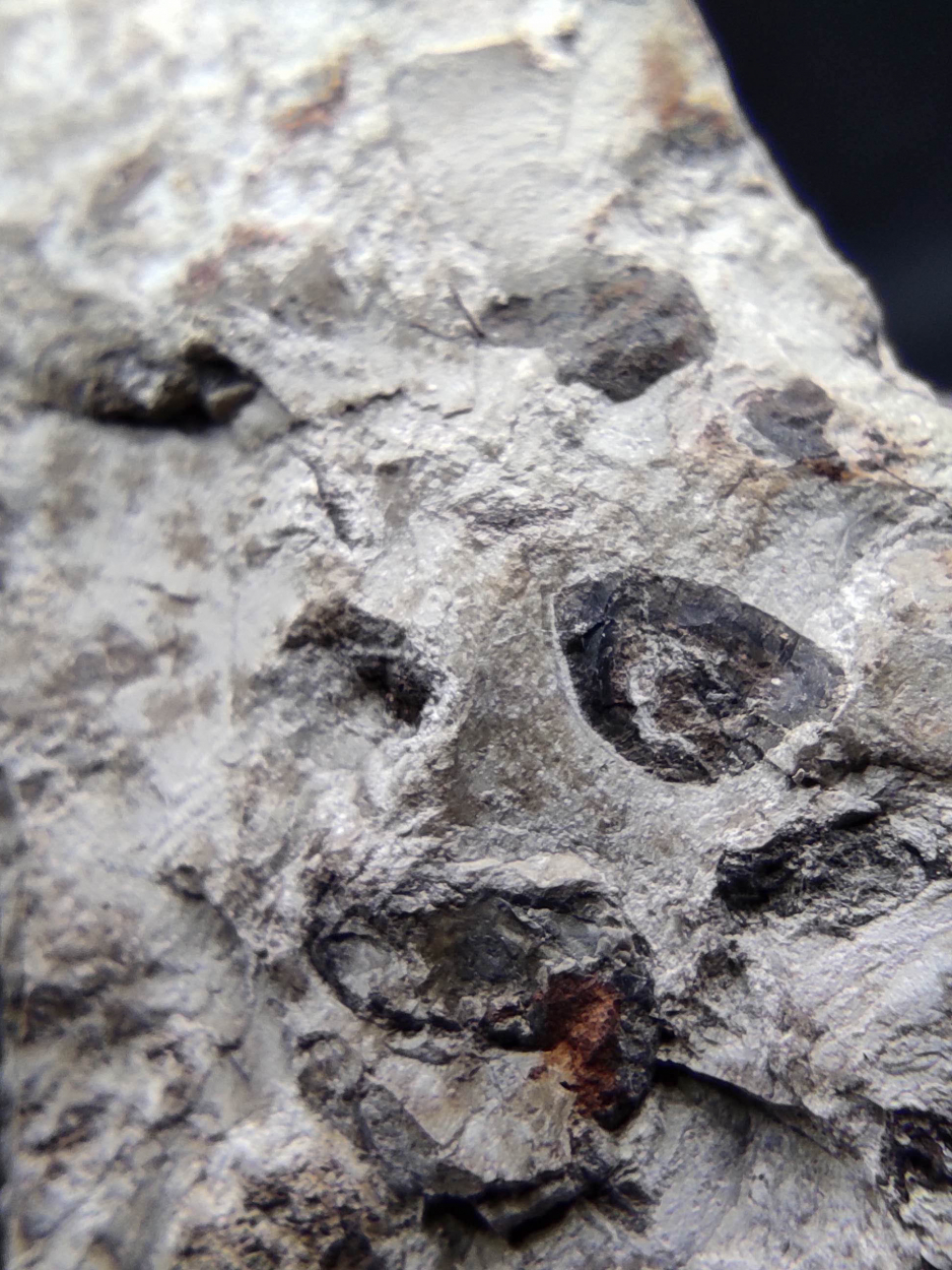 Bauxite