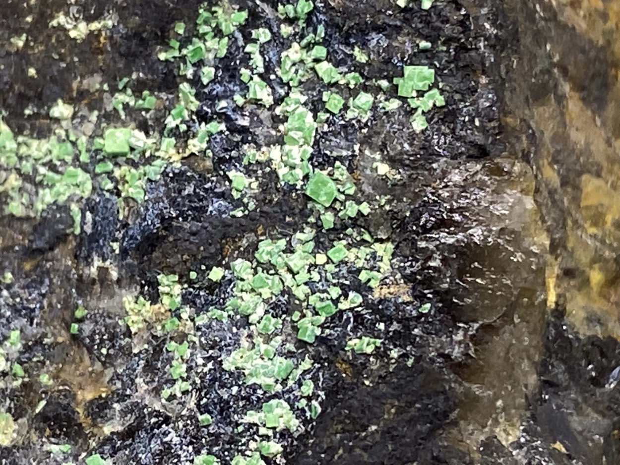 Torbernite On Smoky Quartz