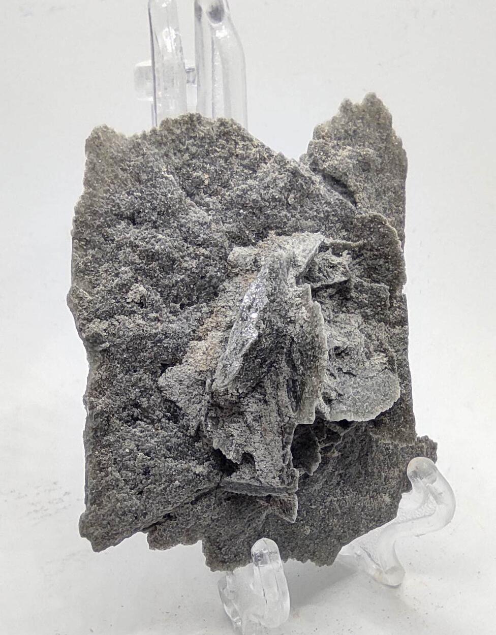 Desert Rose
