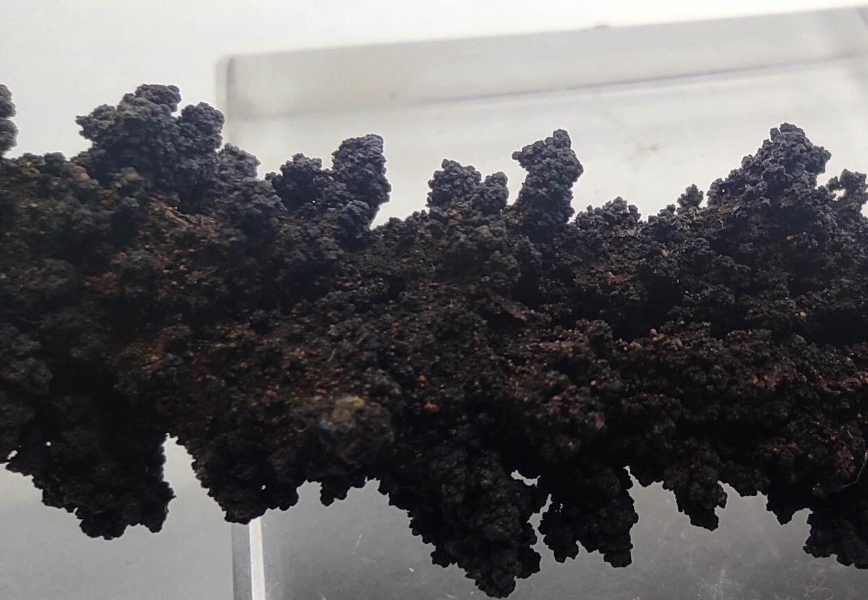 Chalcophanite