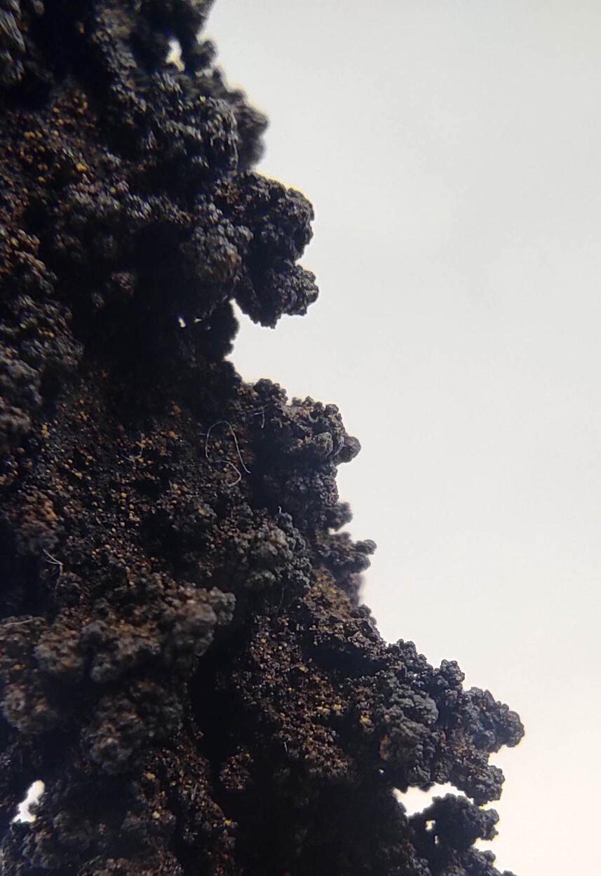 Chalcophanite