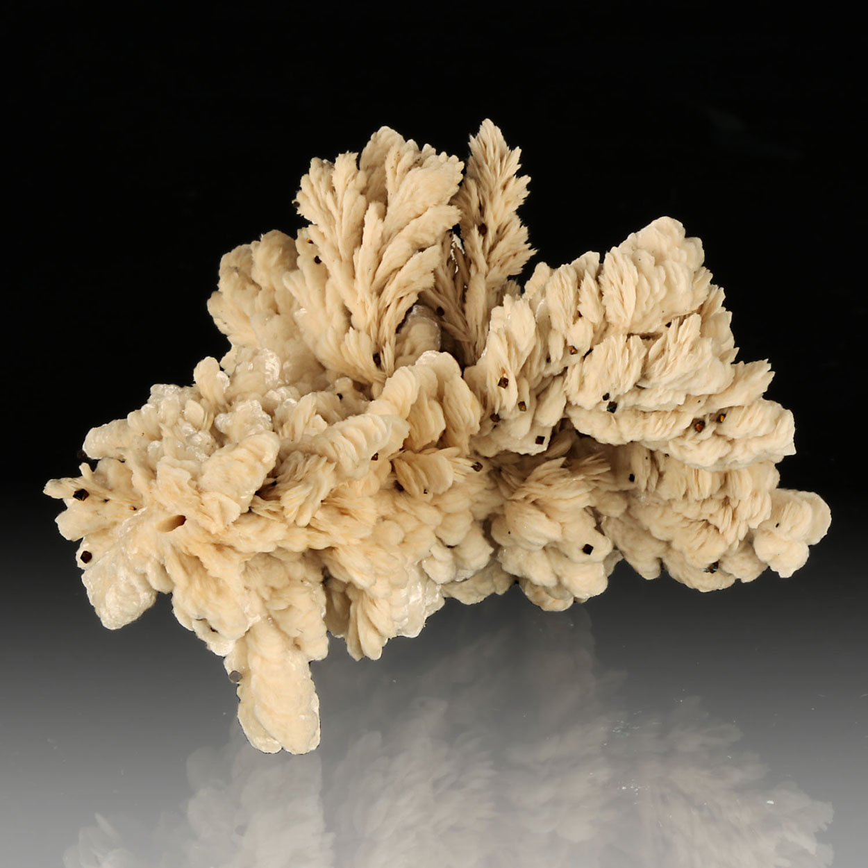 Baryte With Marcasite