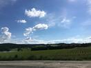 Album: Back Home in Blighty