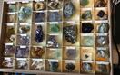 Album: New Collection at TVM