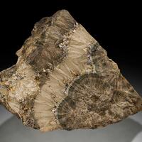 3B Minerals: 14 Jun - 21 Jun 2025