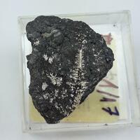 Neptune Minerals: 21 Jun - 28 Jun 2025