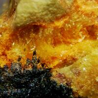 New Brand Minerals: 09 Jul - 15 Jul 2025