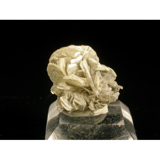 Tainiolite