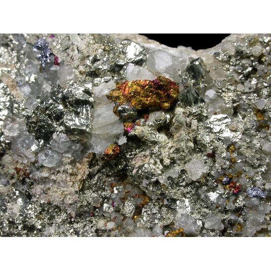 Chalcopyrite Bornite Pyrite & Molybdenite