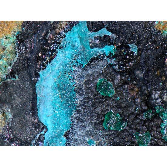 Spangolite & Brochantite