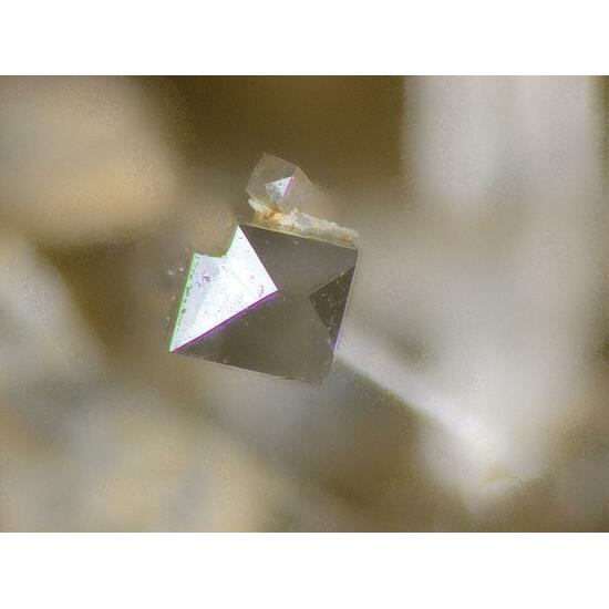 Natrolite & Apophyllite