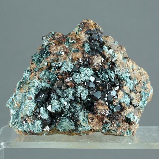 Hessonite & Clinochlore