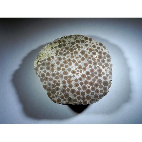 Aragonite