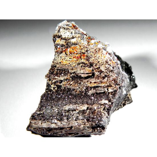 Duxite Amber With Petrified Wood