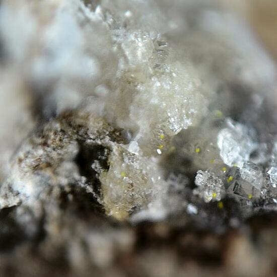 Vandermeerscheite