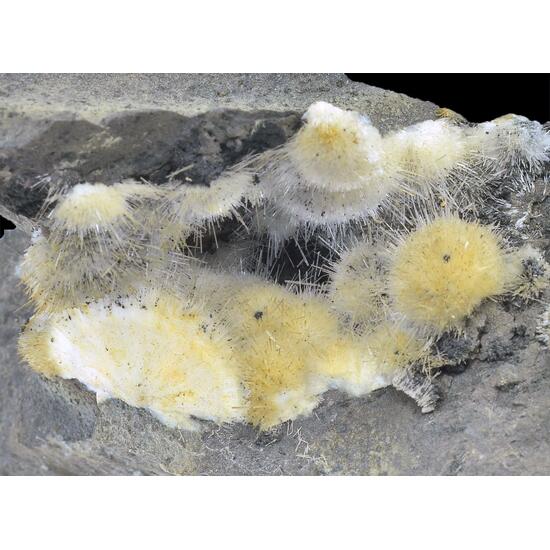 Natrolite