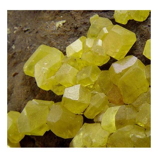 Native Sulphur