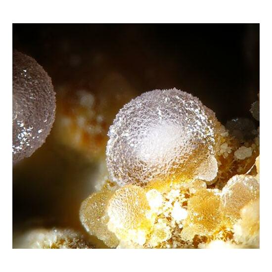 Aluminian Strengite & Cacoxenite