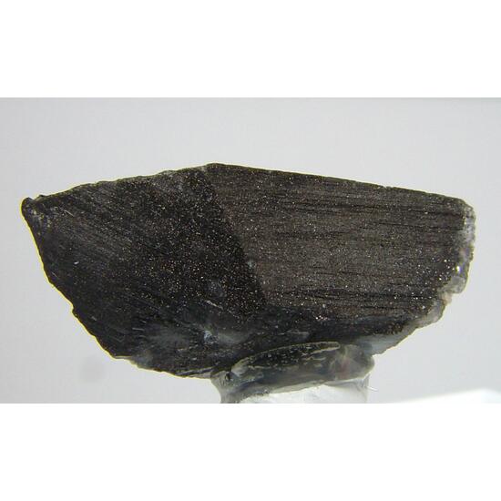 Whewellite