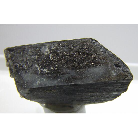 Whewellite