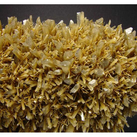 Gypsum