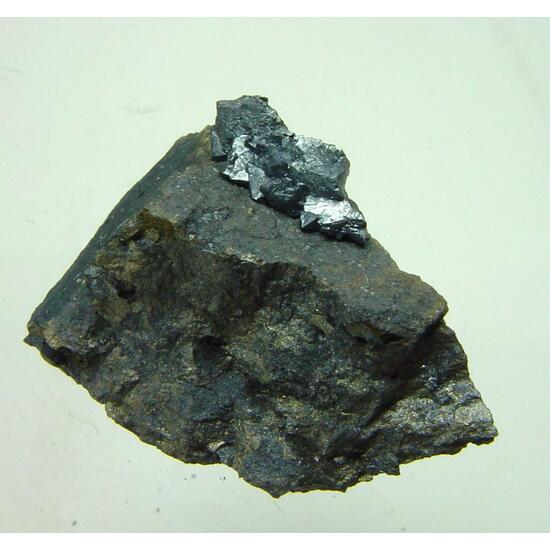 Djurleite