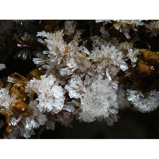 Phosphohedyphane & Willemite