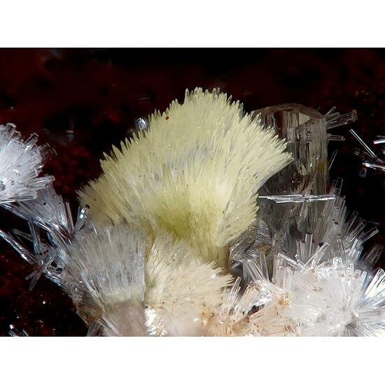 Phosphohedyphane & Willemite