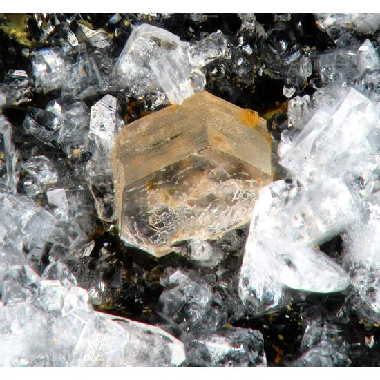 Synchysite-(Ce) & Anatase