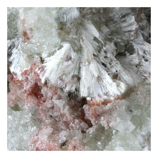 Pectolite With Stevensite