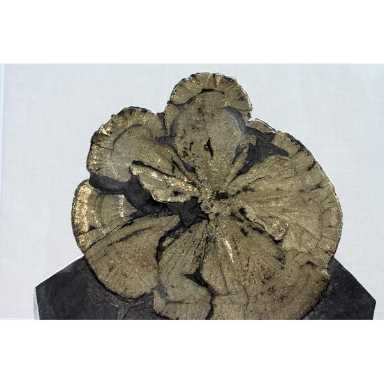Pyrite