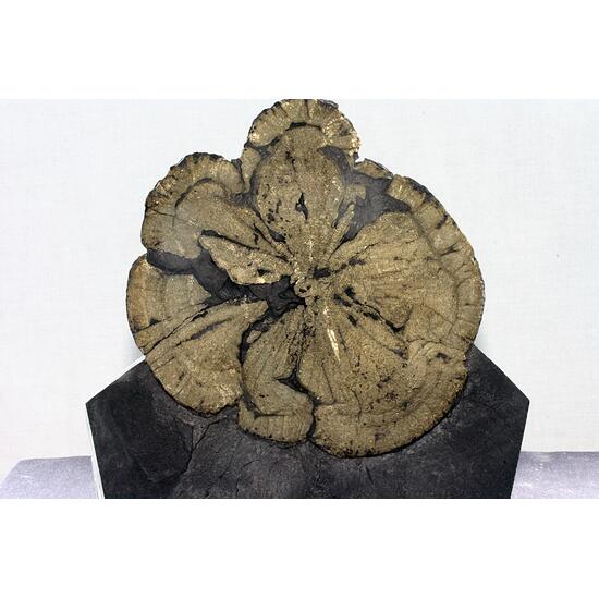 Pyrite