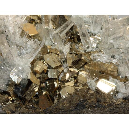 Quartz & Pyrite