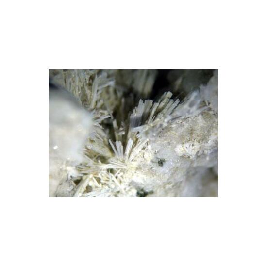Cuspidine