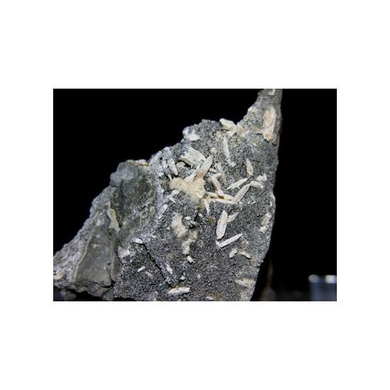 Cuspidine