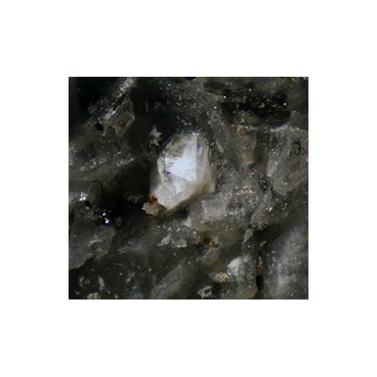 Farneseite