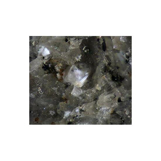 Farneseite