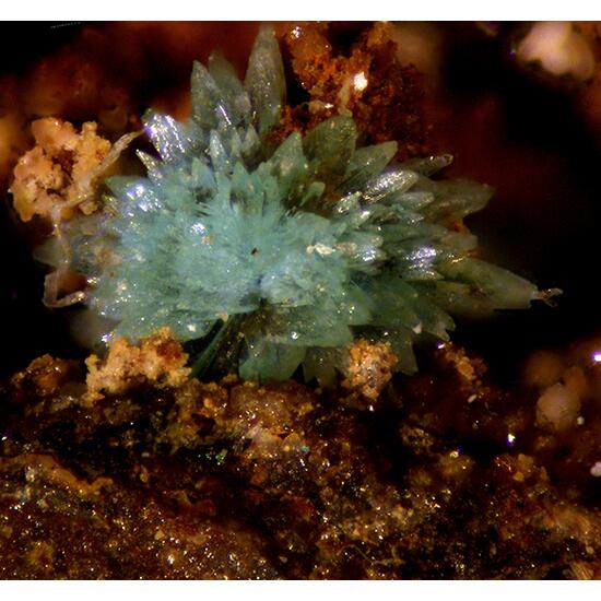 Rruffite Jarosite & Mansfieldite