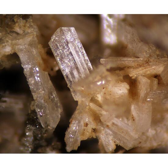 Latiumite