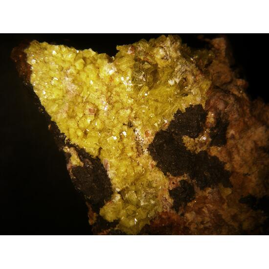 Autunite