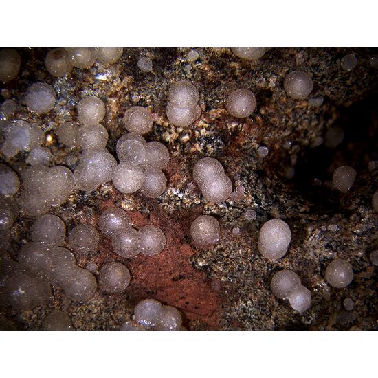 Phillipsite Gismondine & Vonsenite