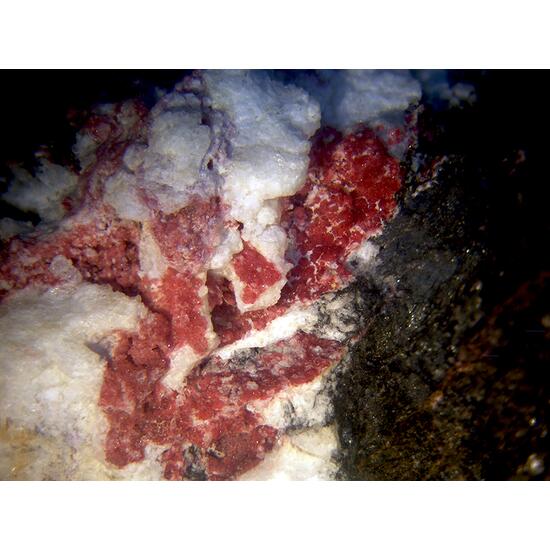 Strengite & Leucophosphite