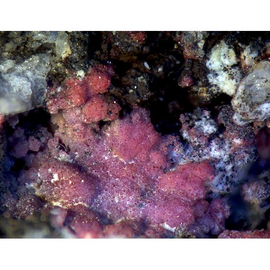 Strengite & Leucophosphite