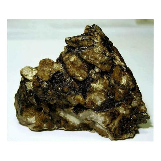 Native Asphaltum