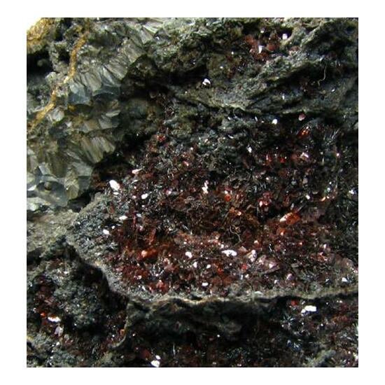 Lepidocrocite